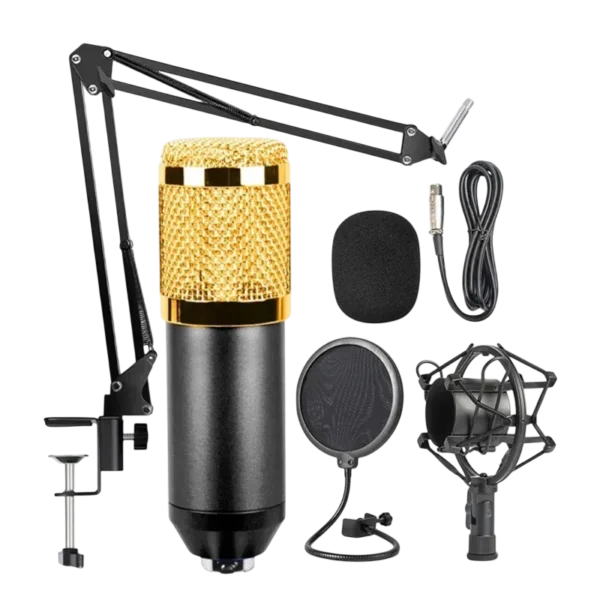 Kit De Microfono Profesional Filtro