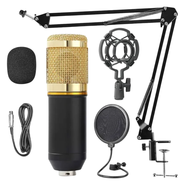 Kit De Microfono Profesional Filtro
